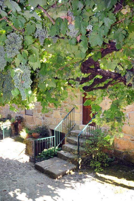 סלוריקו דה באשטו Quinta Das Escomoeiras מראה חיצוני תמונה