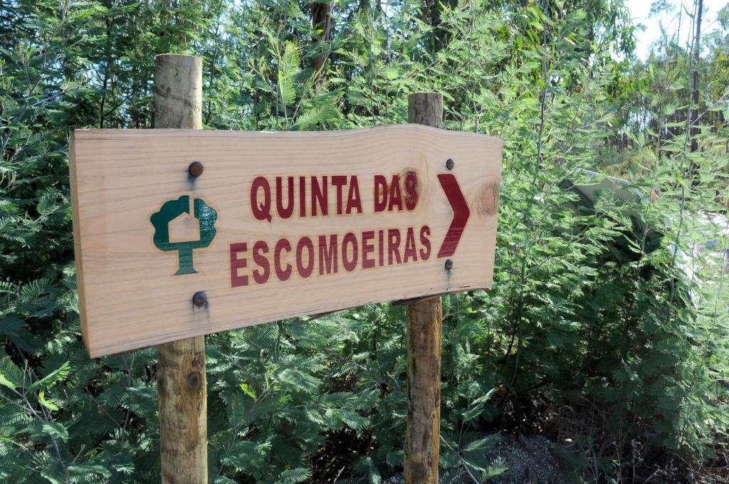 סלוריקו דה באשטו Quinta Das Escomoeiras מראה חיצוני תמונה